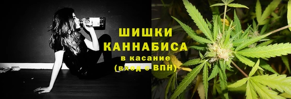 гидра Абаза