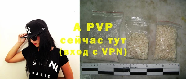 гидра Абаза