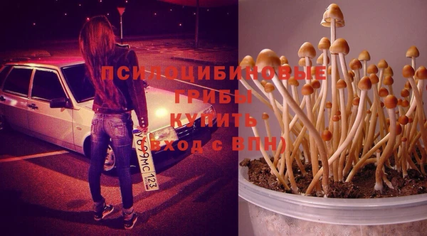 гидра Абаза