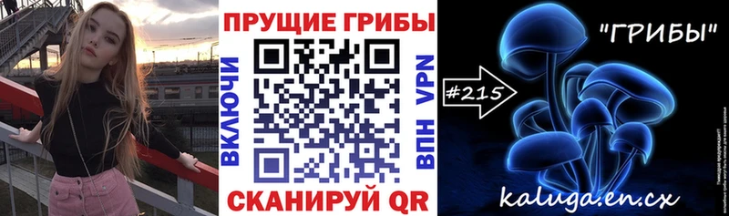 купить закладку  Нефтегорск  Галлюциногенные грибы Psilocybe 